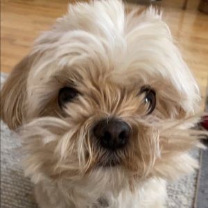 Meet your Posher, Matt